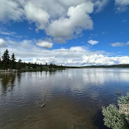 Large Xc In Out & Lovely View * Sjusjøen