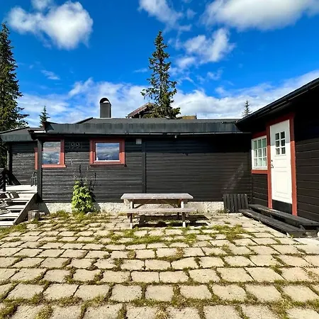 Large Xc In Out & Lovely View * Ringsaker