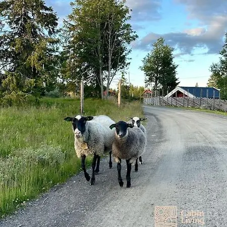 度假居 Large Xc In Out & Lovely View Sjusjøen
