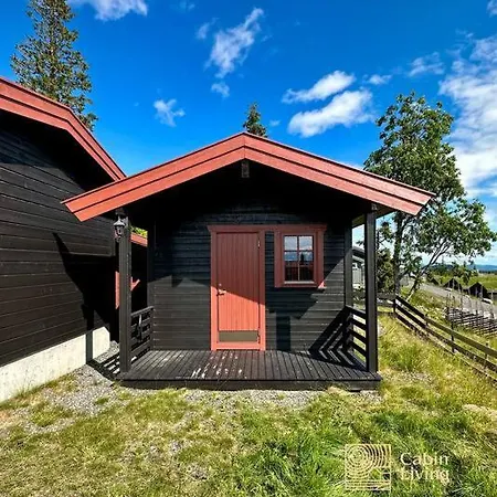 Large Xc In Out & Lovely View Ringsaker