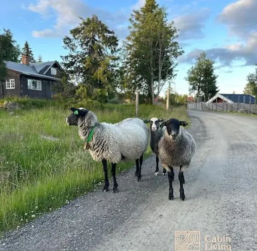 Large Xc In Out & Lovely View *