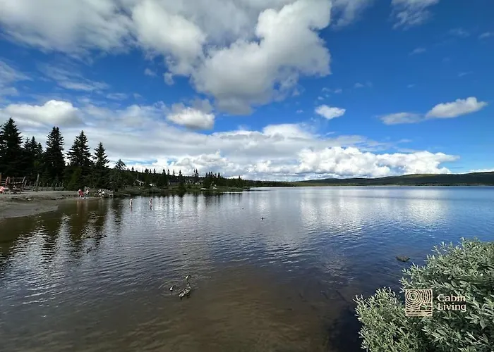 Large Xc In Out & Lovely View * Sjusjøen