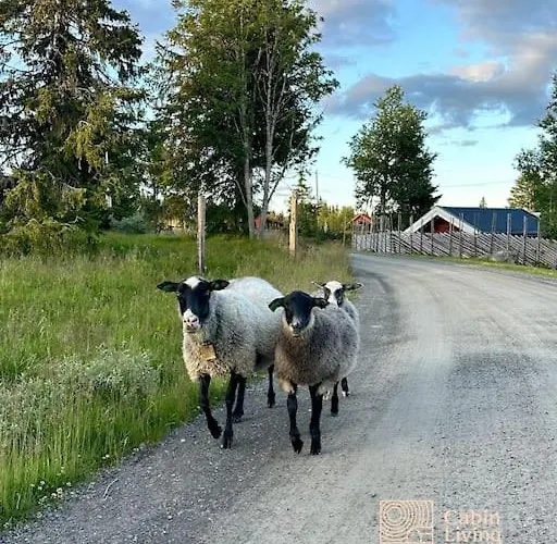 Сasa de vacaciones Large Xc In Out & Lovely View Sjusjøen