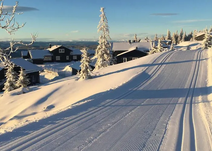 Large Xc In Out & Lovely View * Sjusjøen