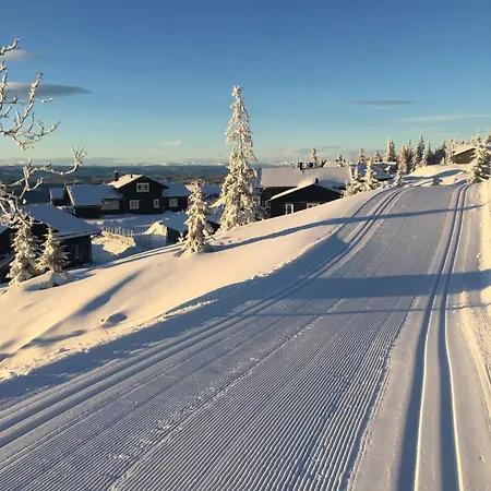 Large Xc In Out & Lovely View * Sjusjøen