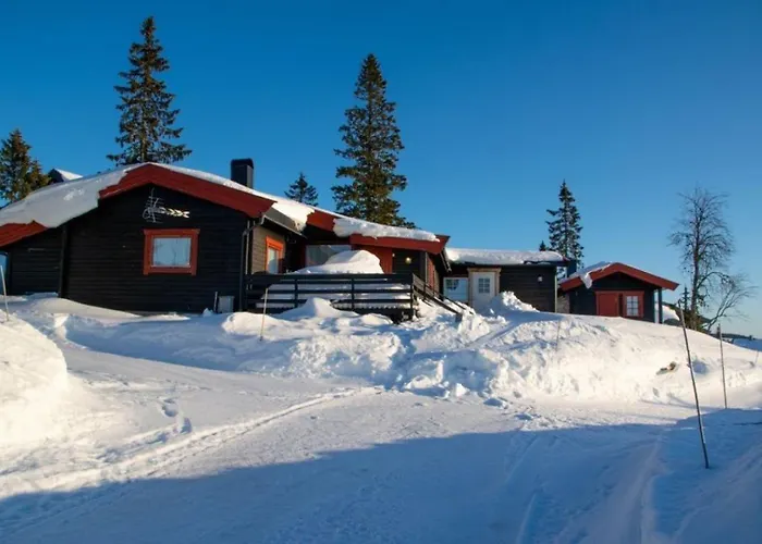 Large Xc In Out & Lovely View 度假居 Sjusjøen